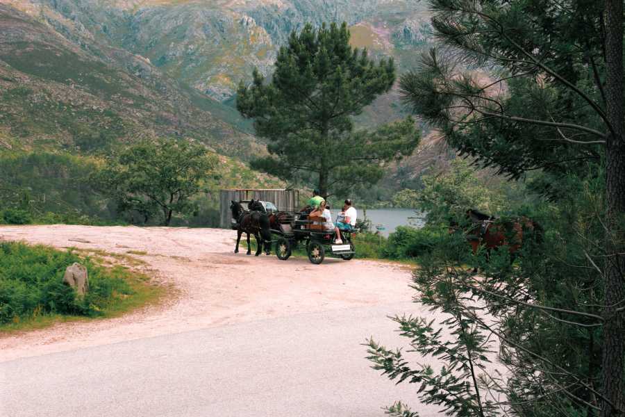 Ger&ecirc;s Equidesafios Passeio de Charrete