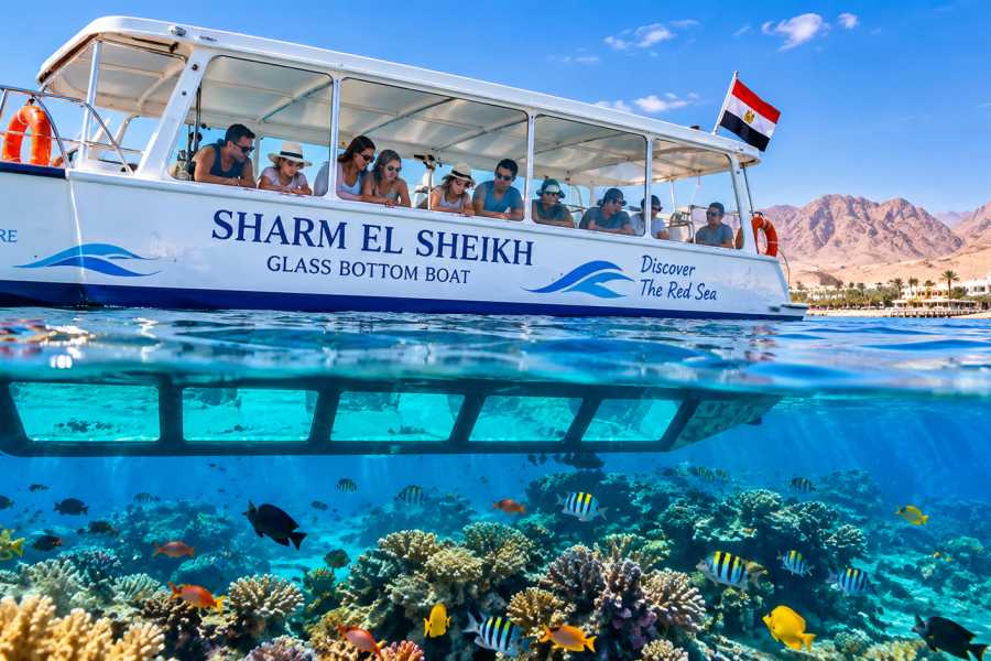 Let`s Explore Egypt Glass boat trip sharm el sheikh