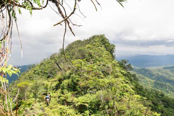 Mt Tomaniivi Day Hike