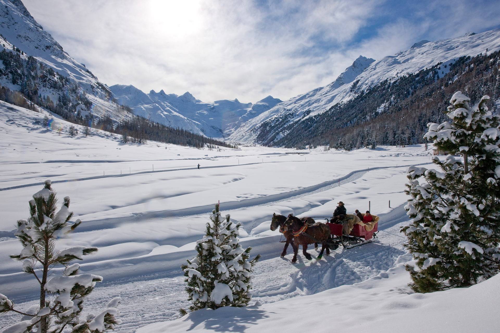 TEST Kutschenfahrten im Winter