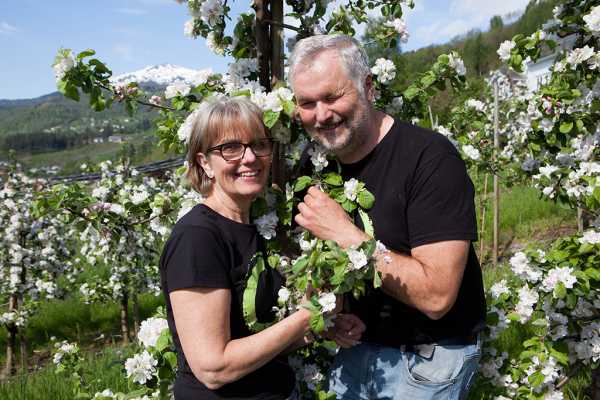 Visit Ulvik Frukt & Cideri, Mondays at 12:30