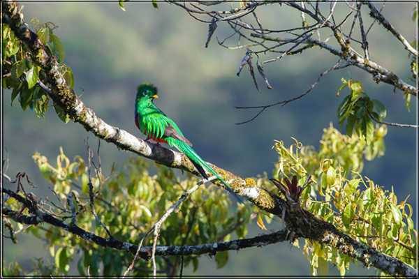 Nature Package Costa Rica