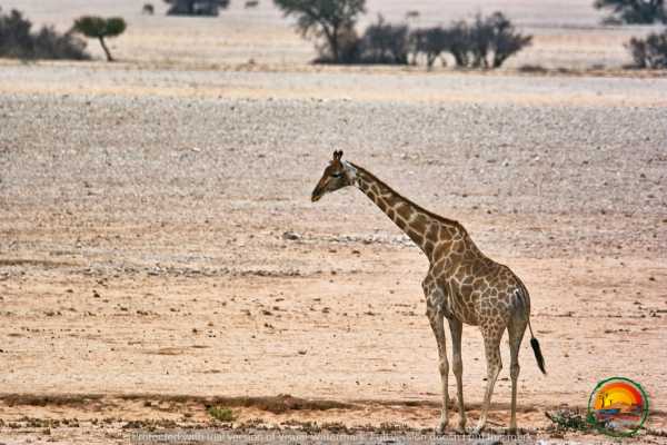 Wildlife & Landscape Photography Tour