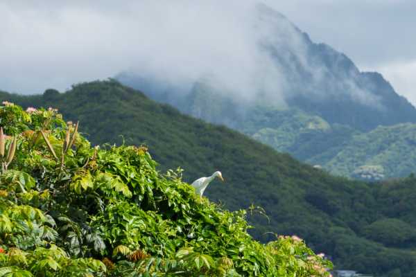 Overnight Monteverde Forest