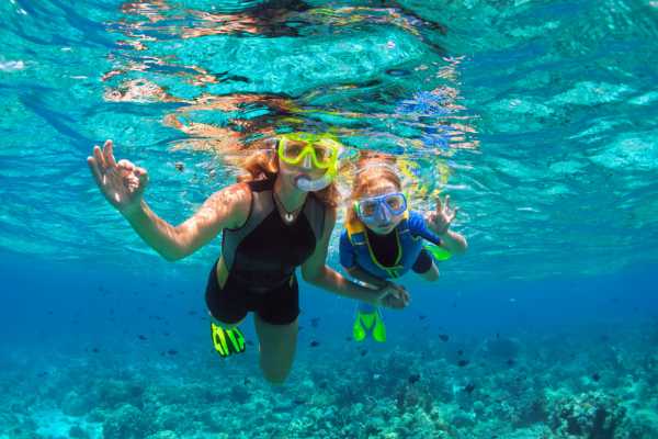 Snorkeling at Dreams Las Mareas