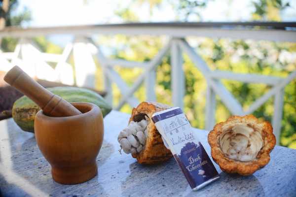 St. Lucia Chocolate Crafting Tour