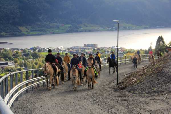 Panoramic riding trip Nordfjordeid