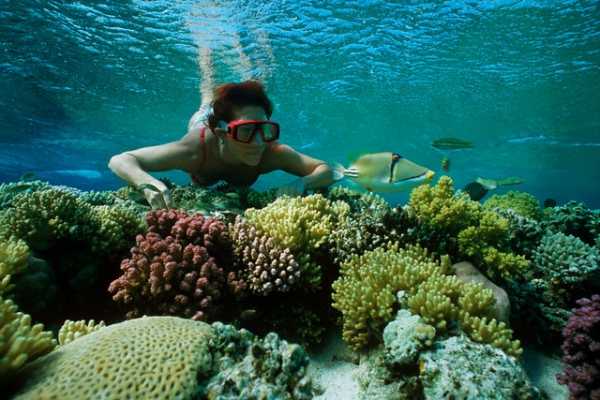 Journey To Egypt Snorkeling Trip to Giftun Island from Hurghada