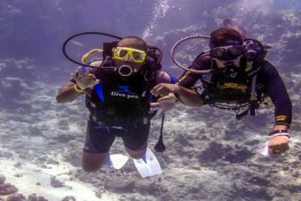 Journey To Egypt Paradise Island Snorkeling Trip, Active day in Hurghada