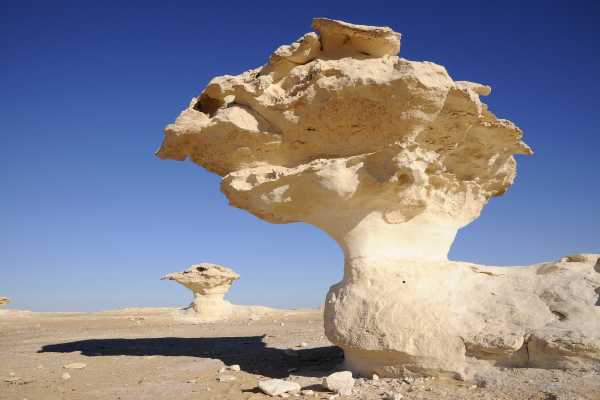 Transfer from Al Baharia Oasis to Cairo Airport