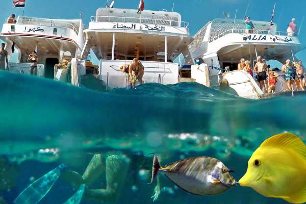 Private Transfer From Marsaalam Airport to Makadi bay Hotels