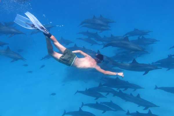 Marsa alam tours 12 day Marsa Alam travel Package