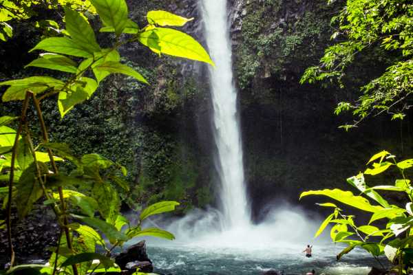 Arenal Wildlife and Hot Springs Combo