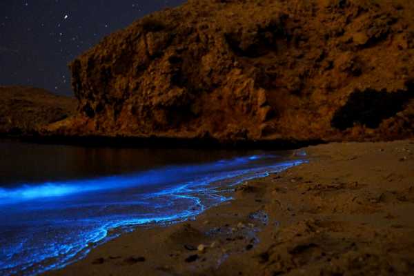 Night Kayak Tour