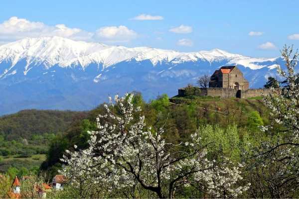 Tour 12 Gastronomical Half Day Tour: Exploring Sibiu&rsquo;s Surrounding Villages and Their Culinary Heritage
