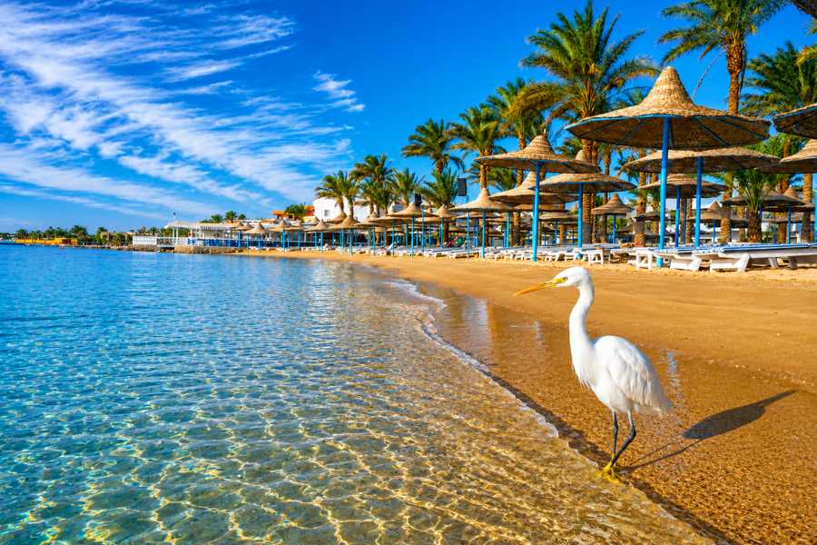 Let`s Explore Egypt Private Ain Sokhna Red Sea Yacht Day Trip from Cairo with Lunch