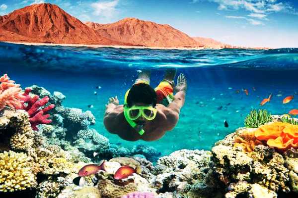 Let`s Explore Egypt Sharm el-Sheikh: Ras Muhammad Snorkel and Desert Safari
