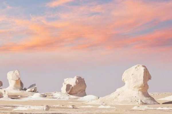 Let`s Explore Egypt Over night trip to Bahariya Oasis with White Desert  ( overnight camping )