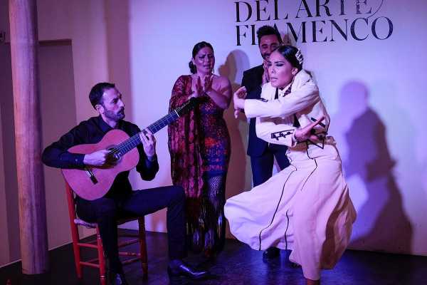 Flamenco Show