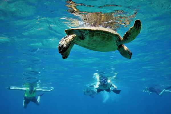 Goombay Catamaran Tour