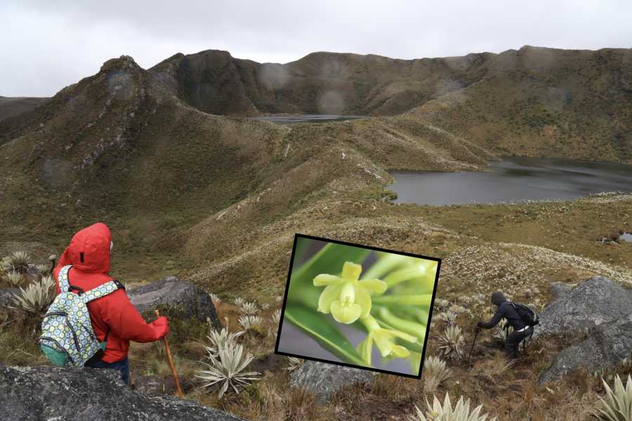 Andes Ecotours Chingaza Siecha & Cuchillas Lakes Trek