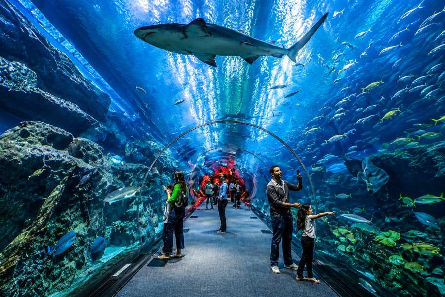 Let`s Explore Egypt 9 Days Egypt Diving & Beach Tour &ndash; Cairo, Hurghada & Red Sea