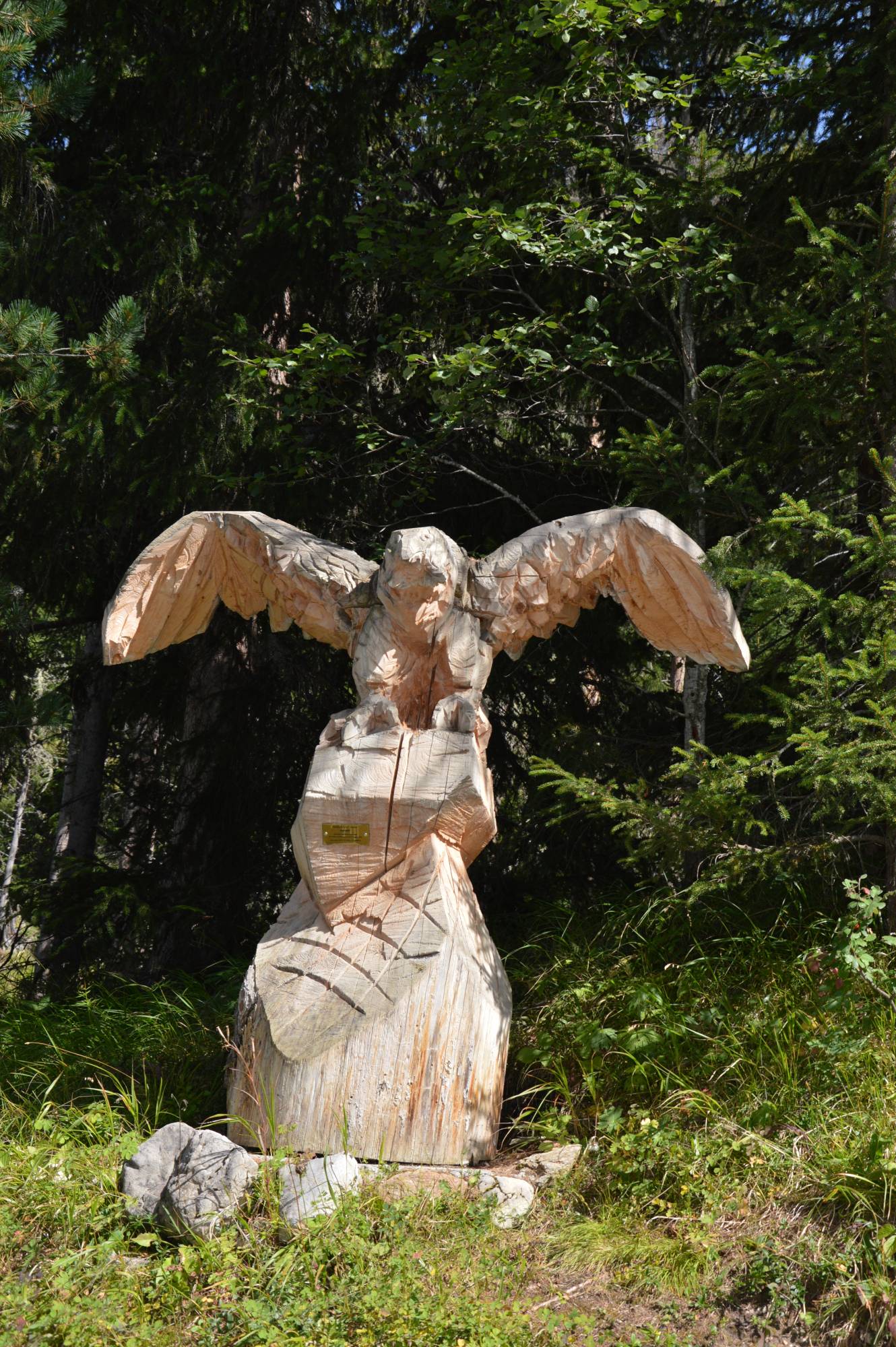Botanische Führung: Waldlehrpfad Madulain / La Punt (Treffpunkt La Punt)
