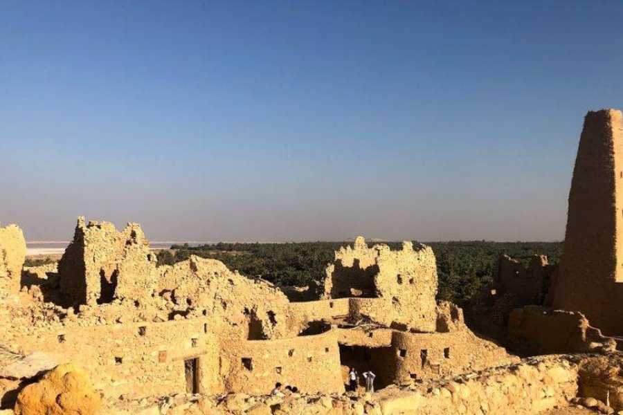 Marsa alam tours Cairo Aswan and Abu Simbel two days tour from El Quseir