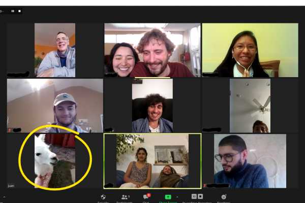 Llamazing Virtual Meeting