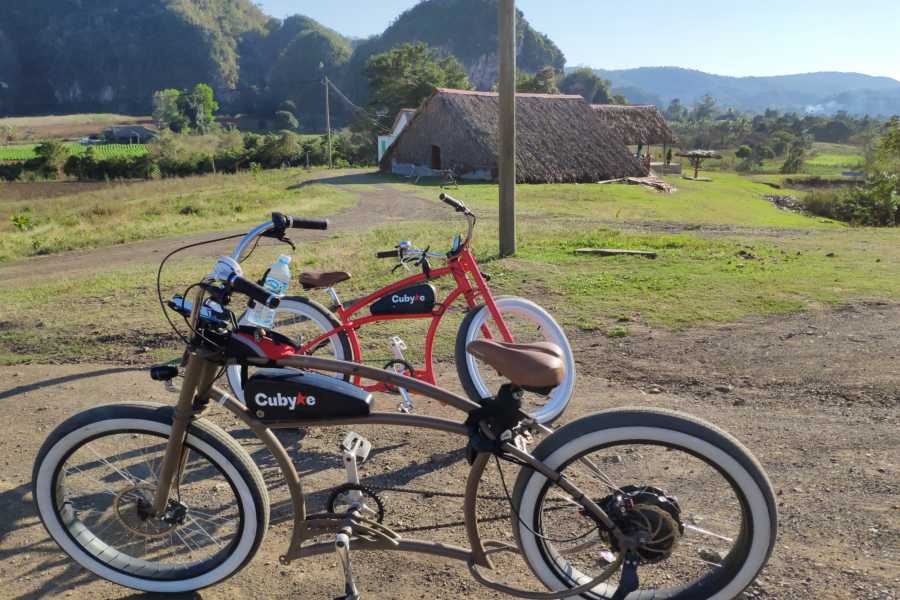 Cubyke Travel Vi&ntilde;ales, pure and intense - PRIVATE