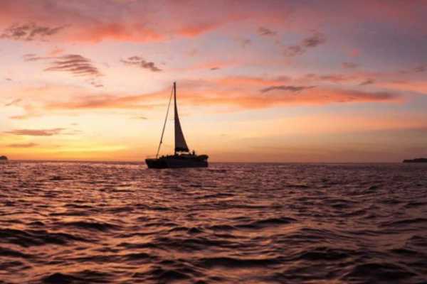Manta Ray Private Catamaran Charter