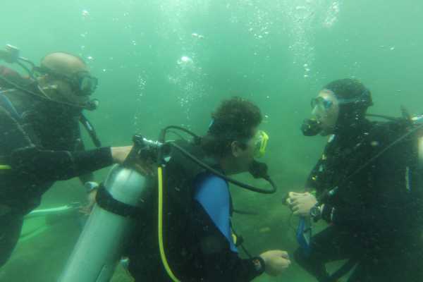 Scuba Dive Begginers Transfer Scuba Dive Begginers Transfer