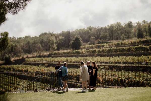 Wine Tasting Experience Etna Nord
