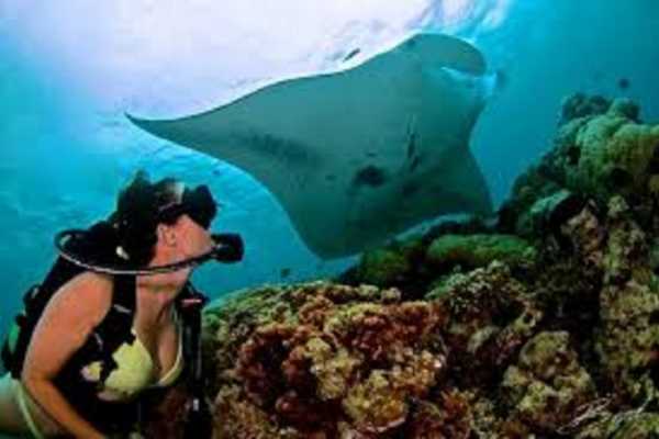 Port Galib Intro Diving Excursion From Marsaalam