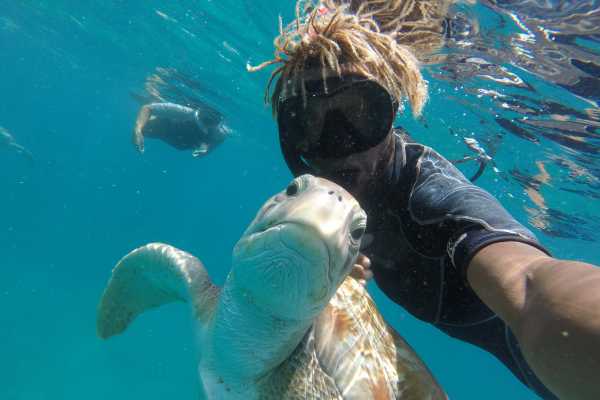 Snorkeling com as tartarugas
