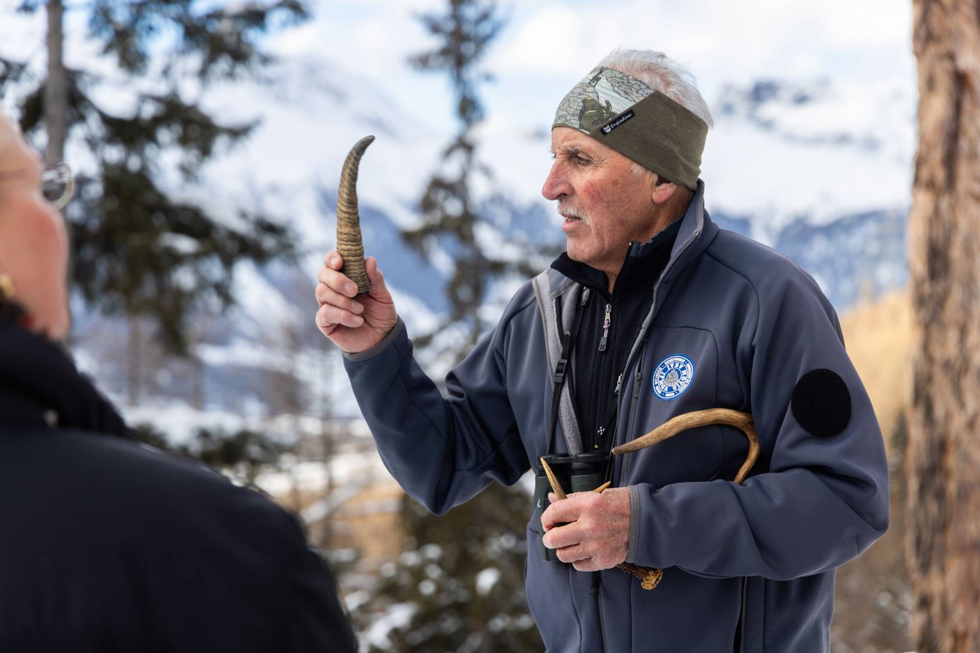 Steinbock-Beobachtung Winter Pontresina