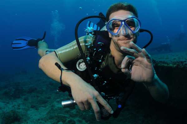 Dive Dive