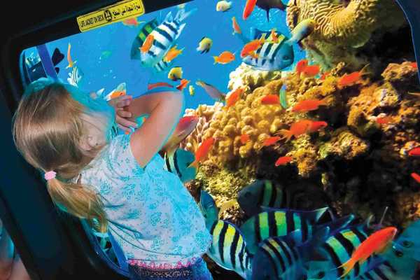 Daily tours Egypt PASEO EN BARCO DE CRISTAL DESDE HURGHADA