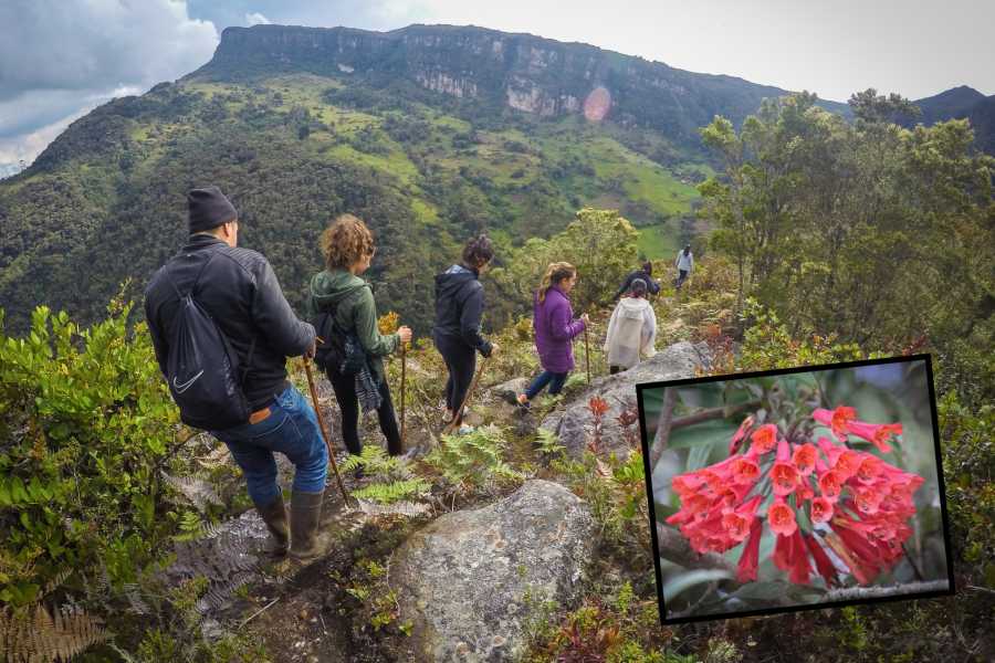Andes Ecotours Cloud Forest & Waterfalls Half-Day Hike