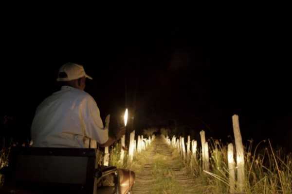 MANYARA NATIONAL PARK NIGHT GAME DRIVE