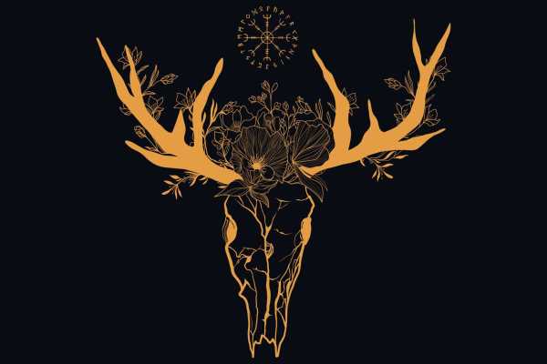 Explorative AS Sol av Isfolket med mat, buss og overnatting