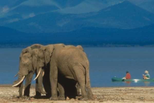 MANYARA NATIONAL PARK CANOEING