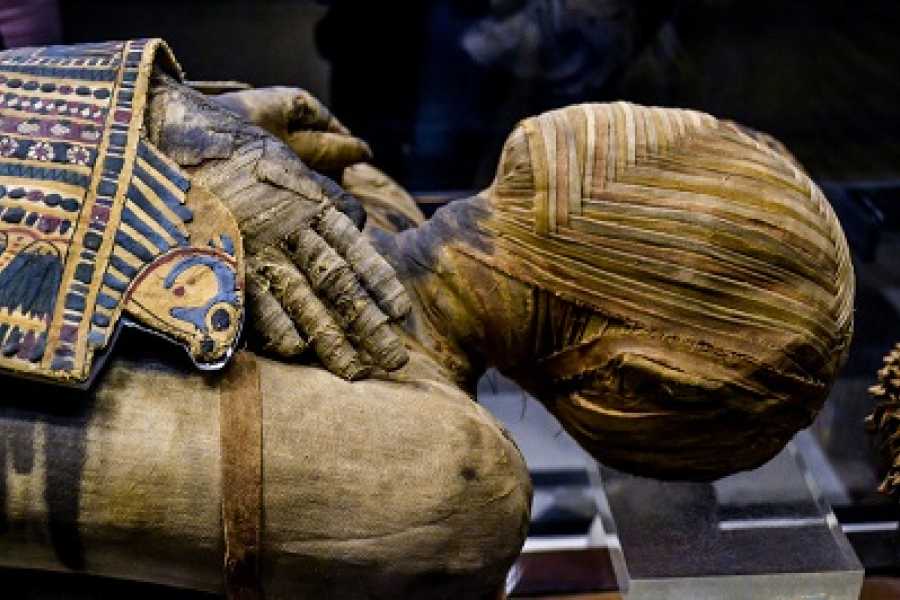 Bastet Travel Egypt Private tour to the Pyramids of Giza and the Egyptian Museum