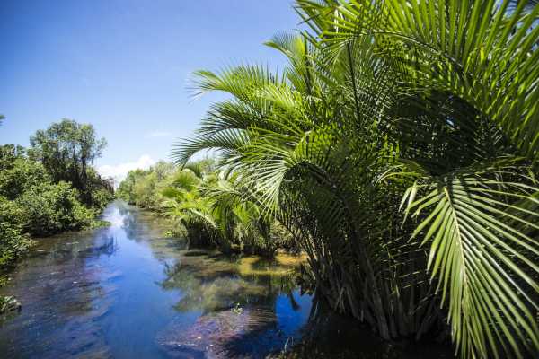 Sunset Cruise by Yacht