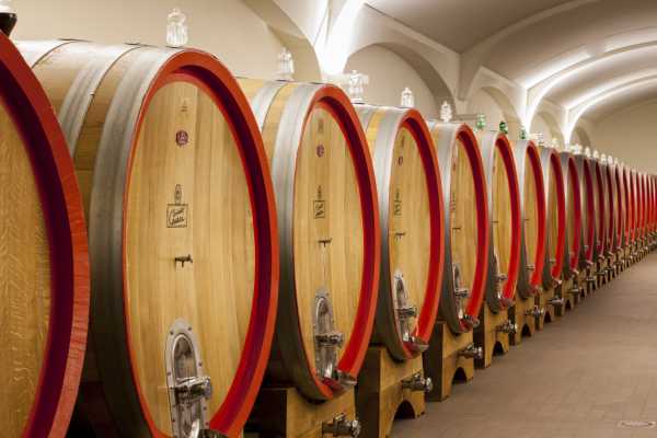 Umberto Cesari Best Wines