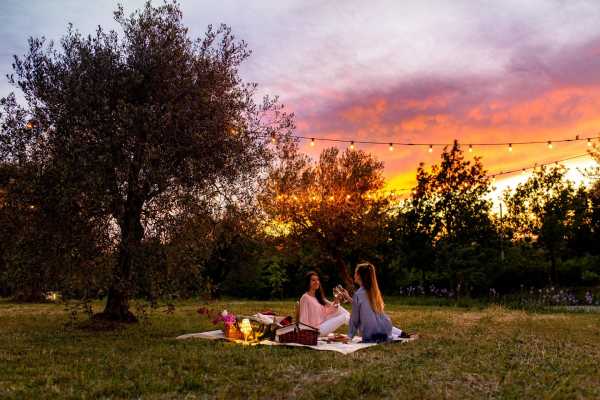 The Wednesday Pic Nic