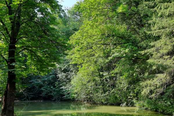 Il Cardello and its Park: something new to taste