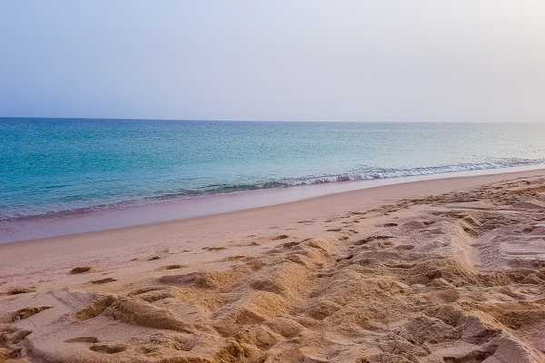 Ras Al Hadd Beach & Turtles Experience