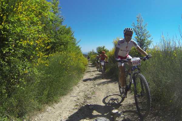 Pedaling on the off-road gullies, between vineyards and cellars