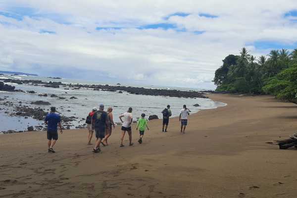 Corcovado National Park (San Pedrillo Station)